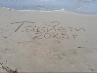 mauryebasta281