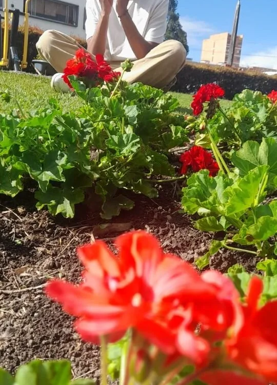 tajada_queso offline XXX-chat