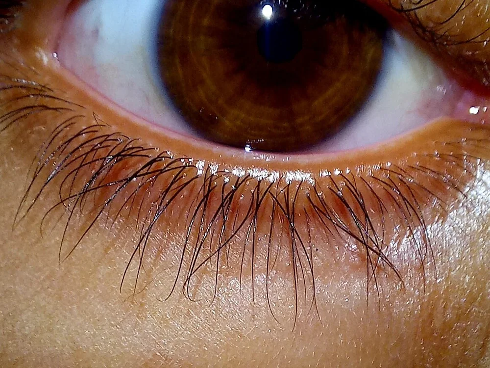 yohjy35lkkl's most recent online preview