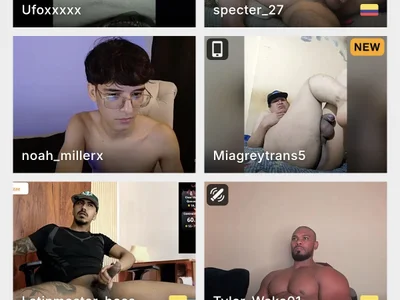 Miagreytrans5