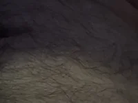 cockloll's webcam live show