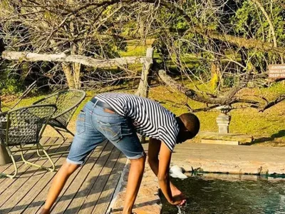 LeonardoRoot32 profile