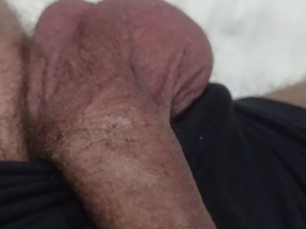 cover photo of dino301