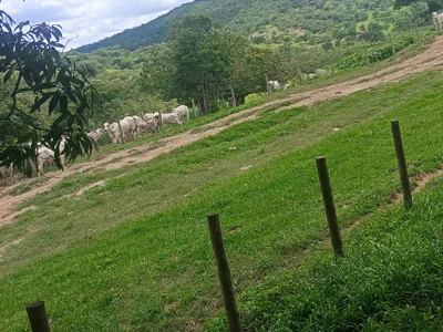 levirantonio