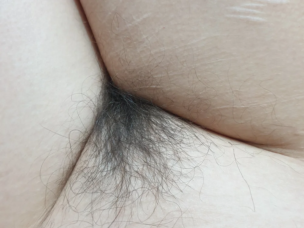Lubrichippie offline chatrum