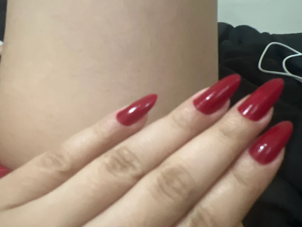 Chat XXX offline de gata919919