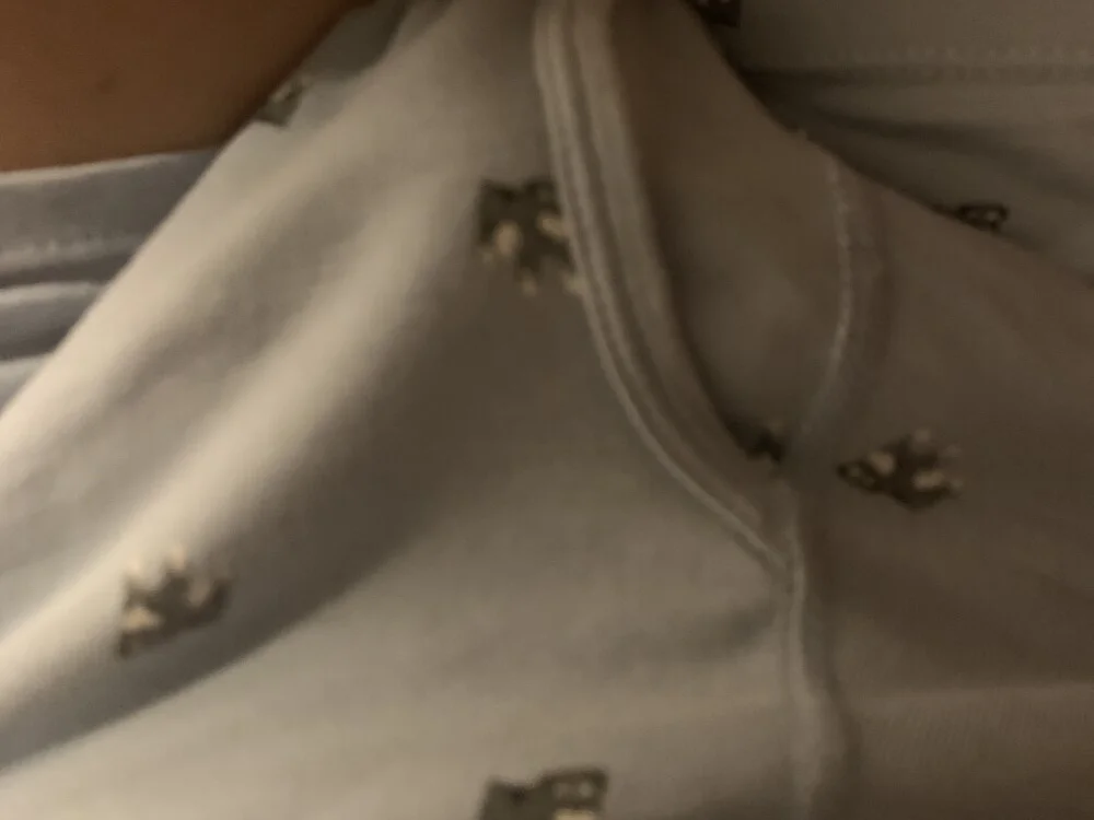 abc0314 离线XXX聊天