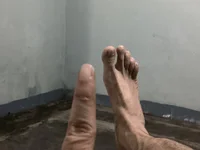 Модель VastNoon95