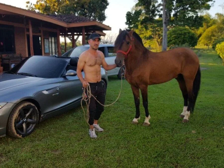 Nikkylive 오프라인 XXX 채팅