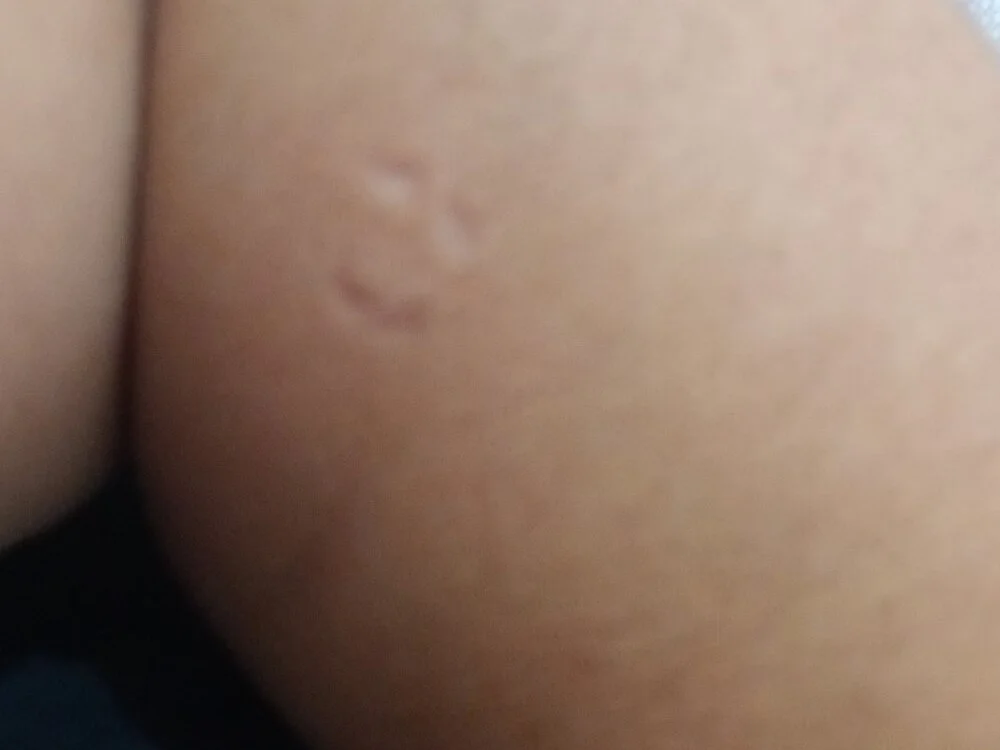 boa-_n Offline XXX chat