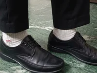 Модель rohit16770