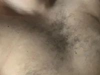 beartopbr