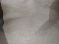 Mallulustyman