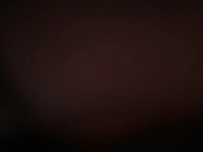 Joao123eeibs