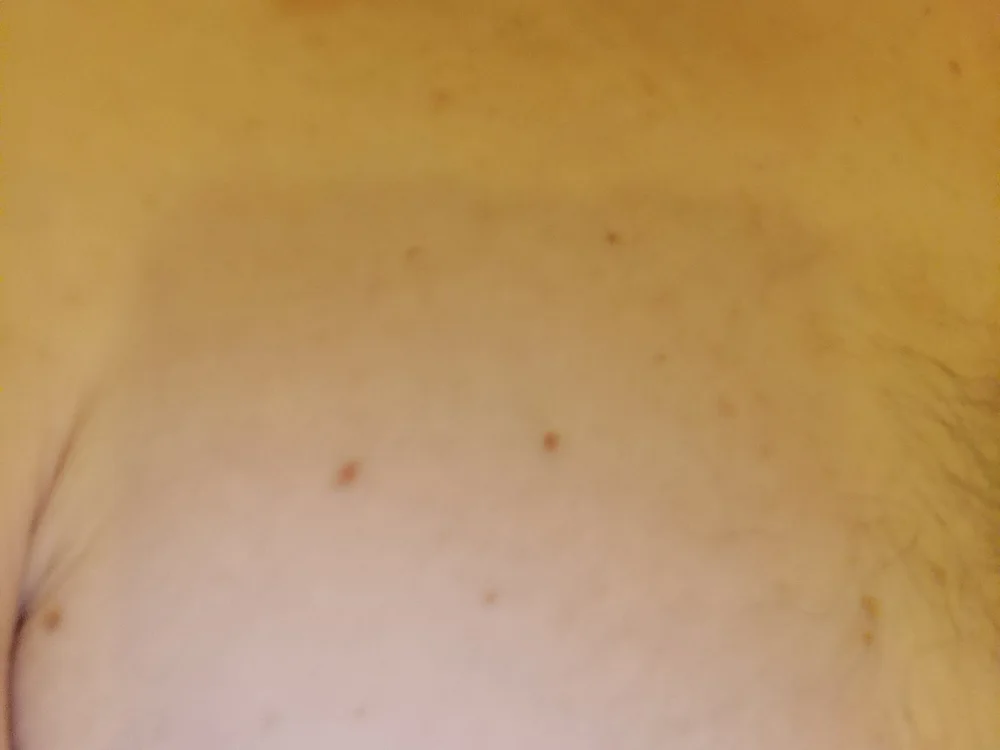 Wifehotter offline chatrum