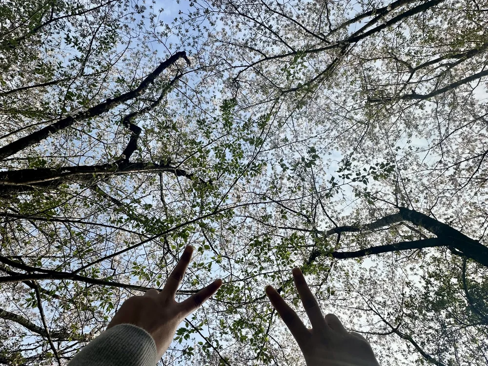 asakoda69's Offline XXX Chat