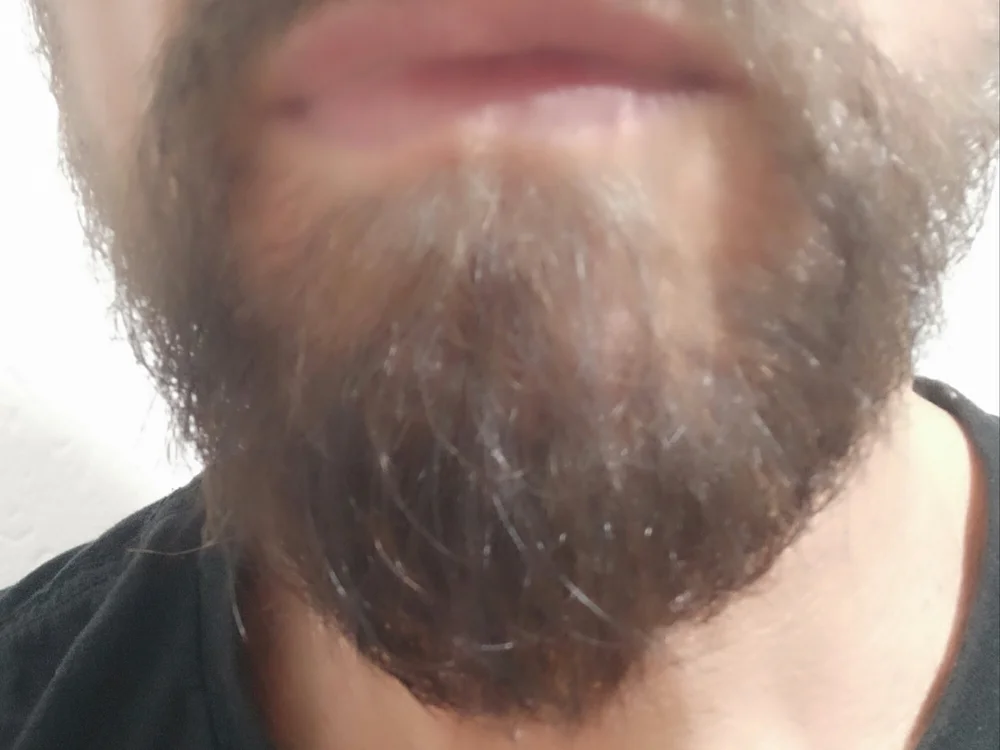 casal_XYZ Offline Chatrum