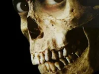 beebuzz0's webcam live show