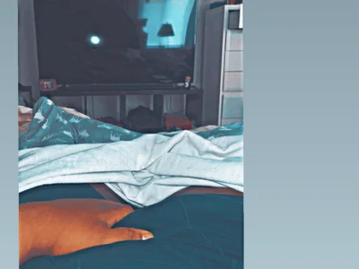 chasethechubby profile