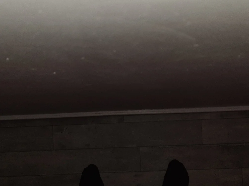 nomis10's Offline XXX Chat