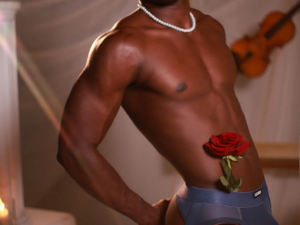 bro_friends Chat XXX offline