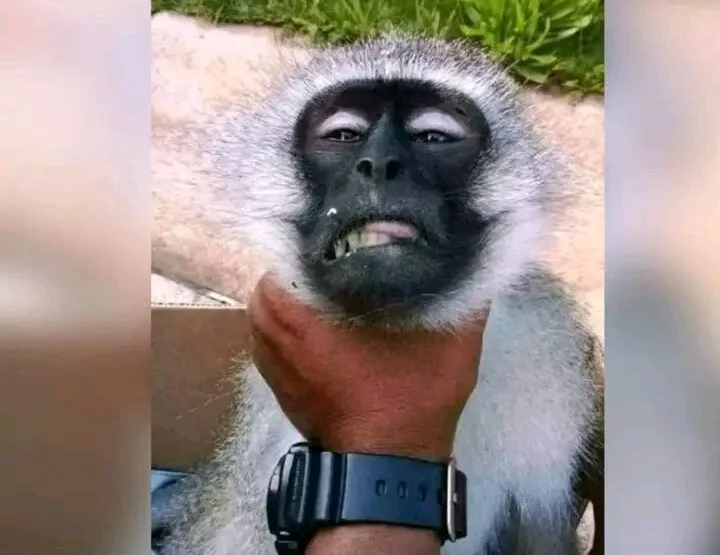 mybigdickj: офлайн-секс-чат