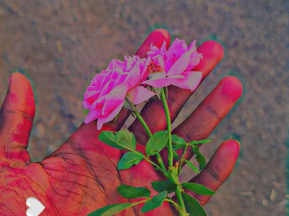 Chat XXX offline de Realmeetallover