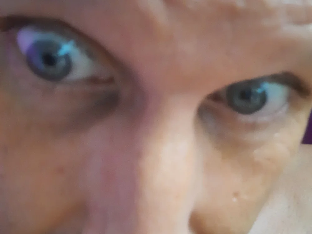 Wilderstier79 cam model