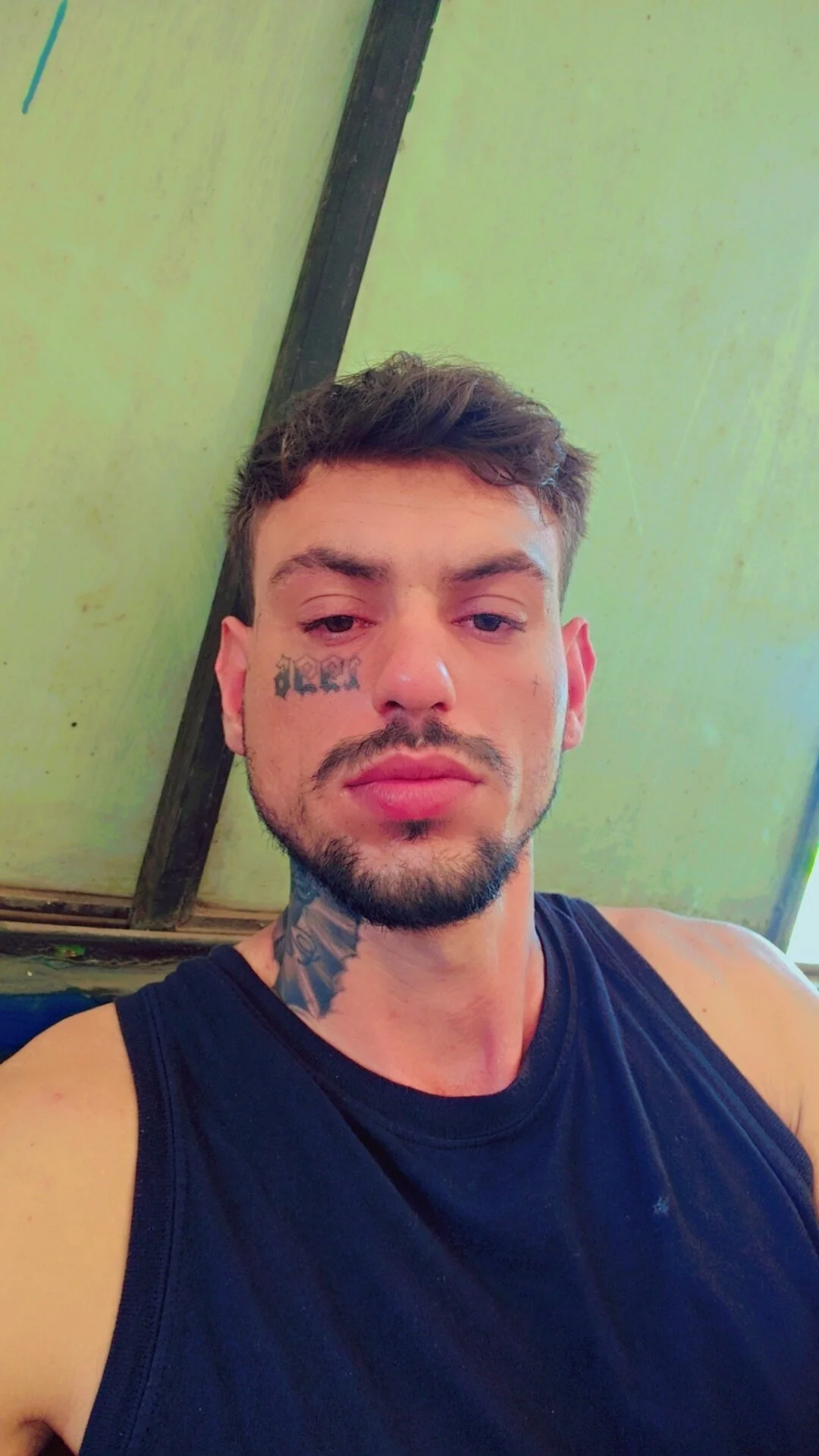 Anderson_liman