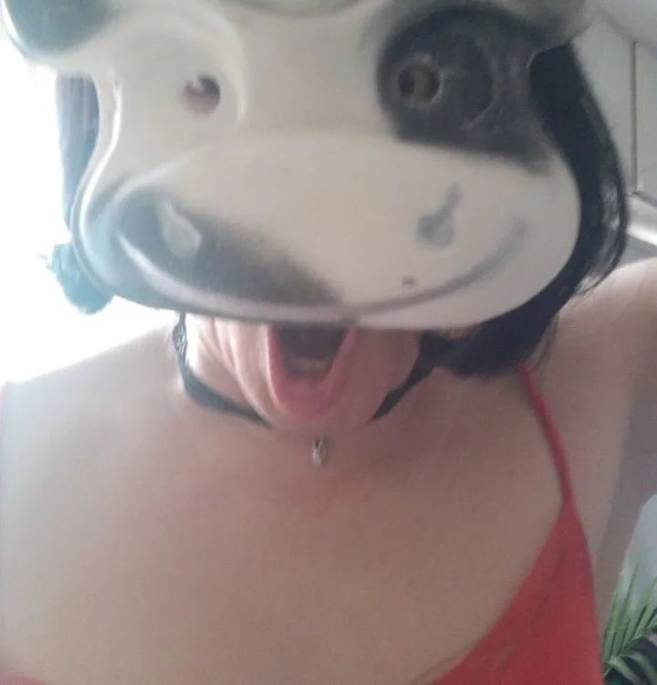 Ani_Belsedere offline chatrum