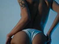 Модель _in_yan