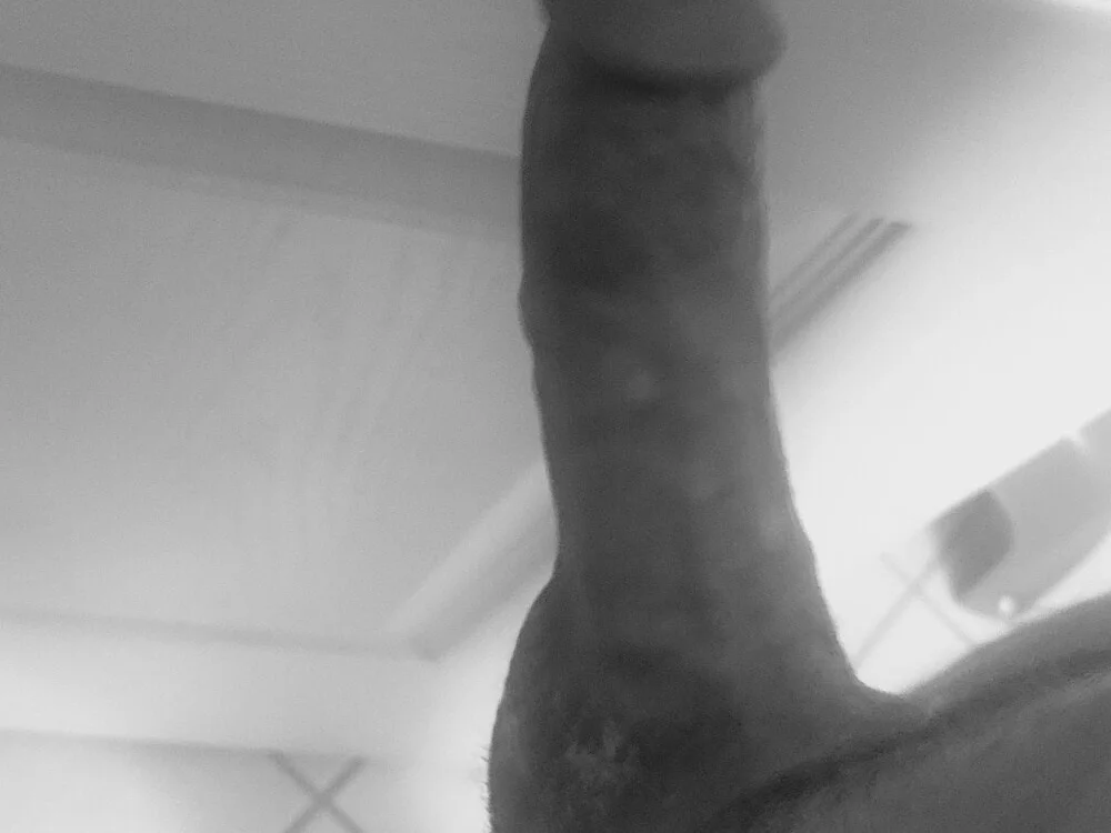 Funwithbrad1 – Offline XXX chat