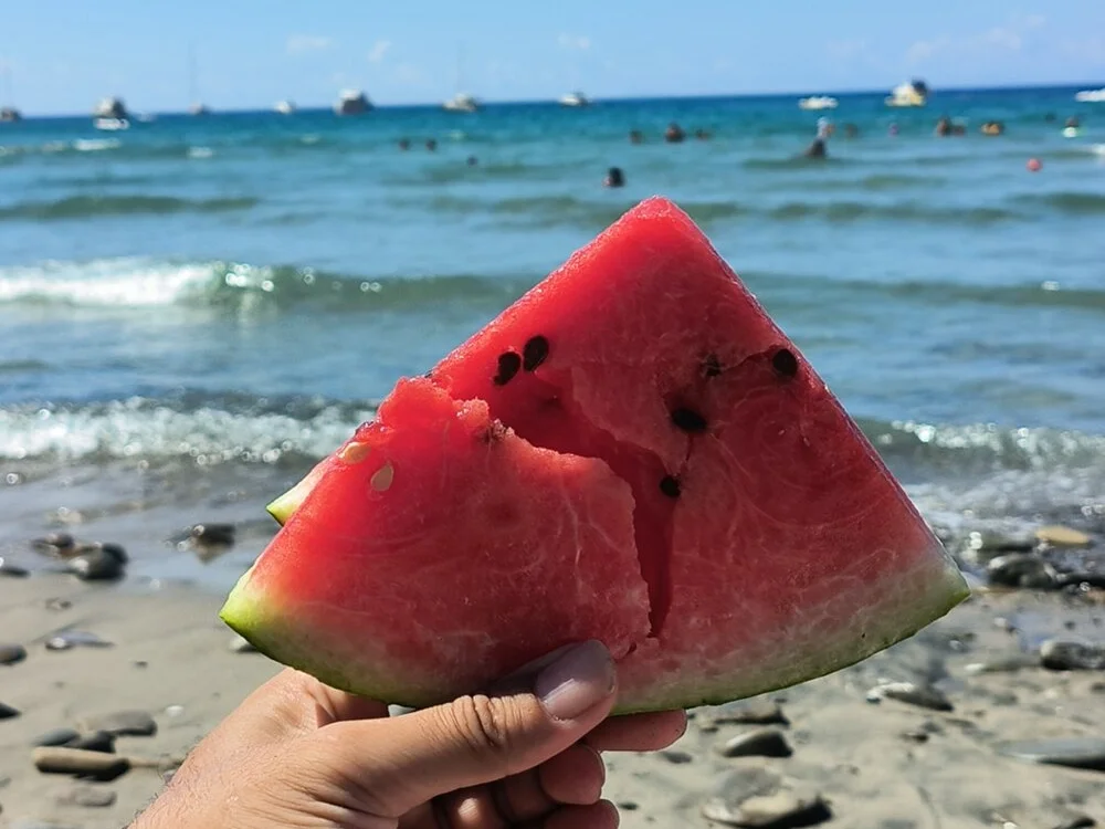 toro6996 Chat XXX offline