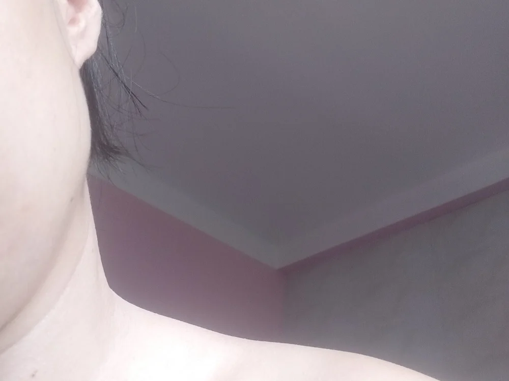 Toadc 離線 XXX 聊天