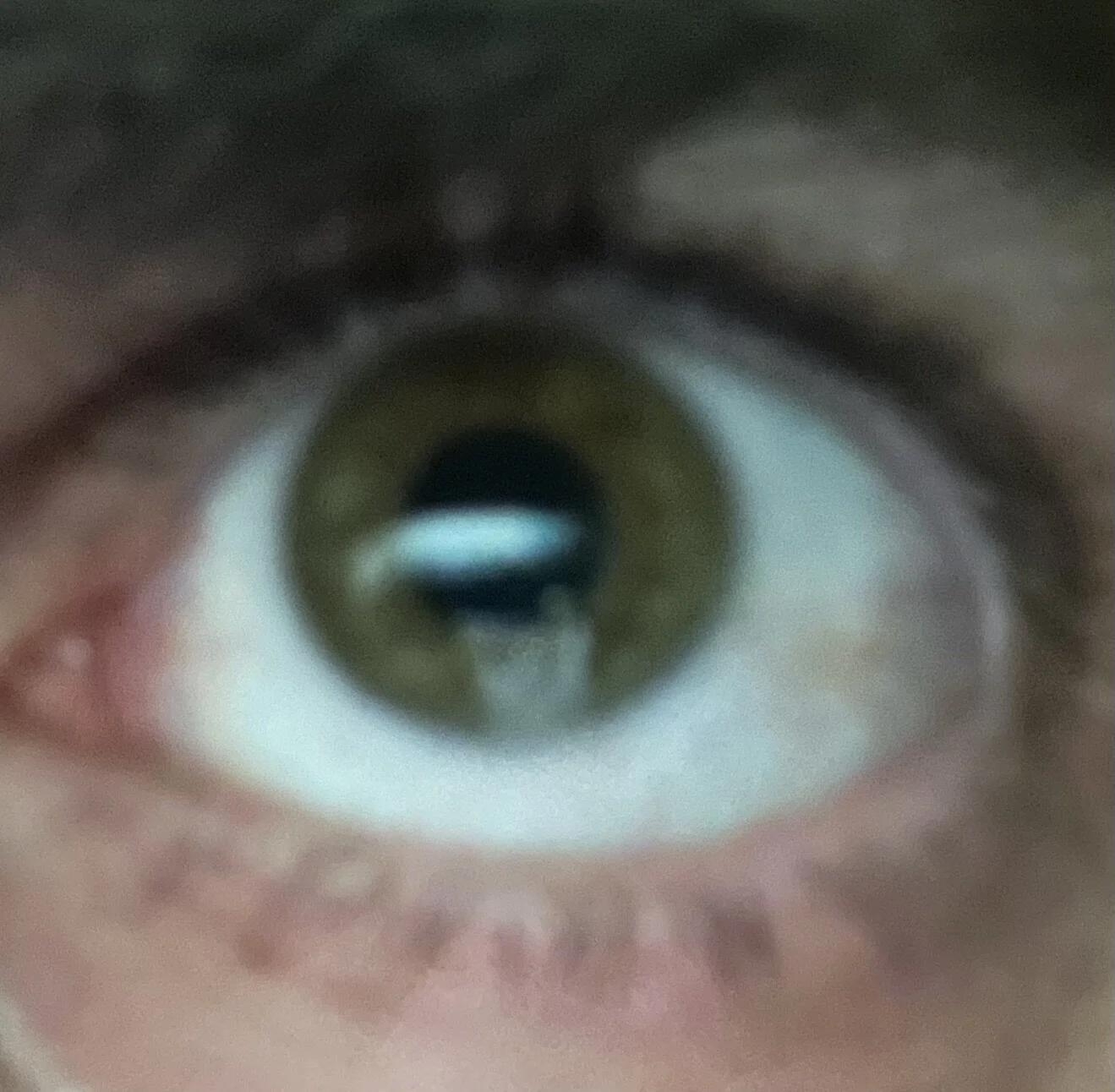 BigDickGreecee