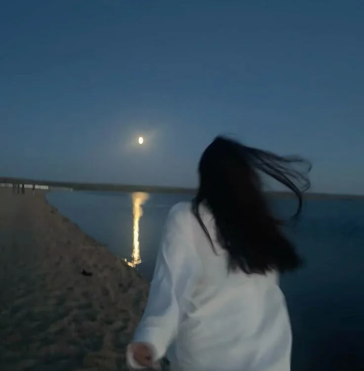 Офлайн-чат XXX SoftMoon