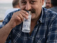 Модель Biracikral