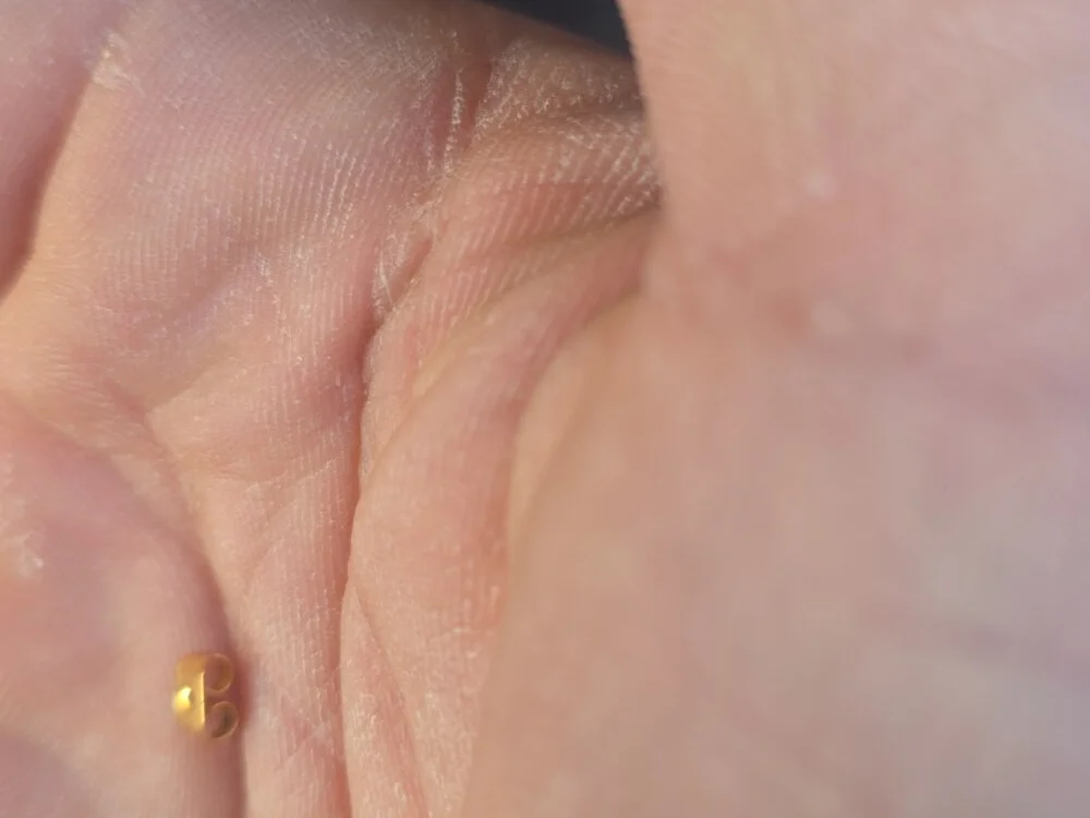 Deyzoniz1925 Adlı Modelin Çevrimdışı XXX Sohbeti