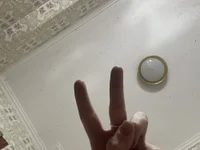 Torradeira24's webcam live show