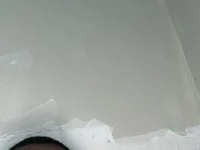 silva210210 webcam