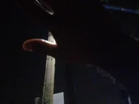 Tamil_alagan_tamil