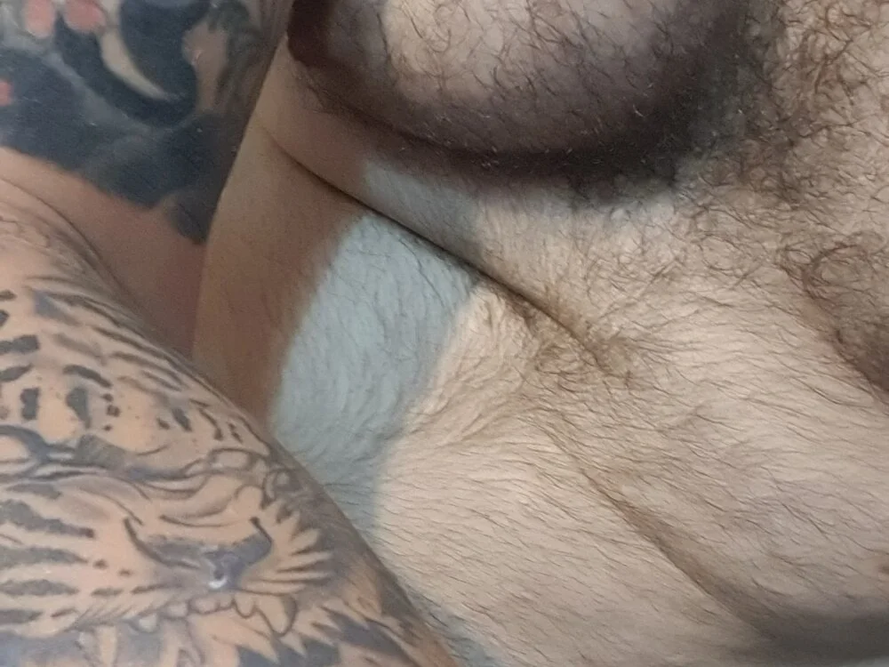 BarbudoSP35 离线XXX聊天