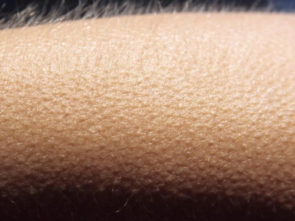 leonard__123's Offline XXX Chat