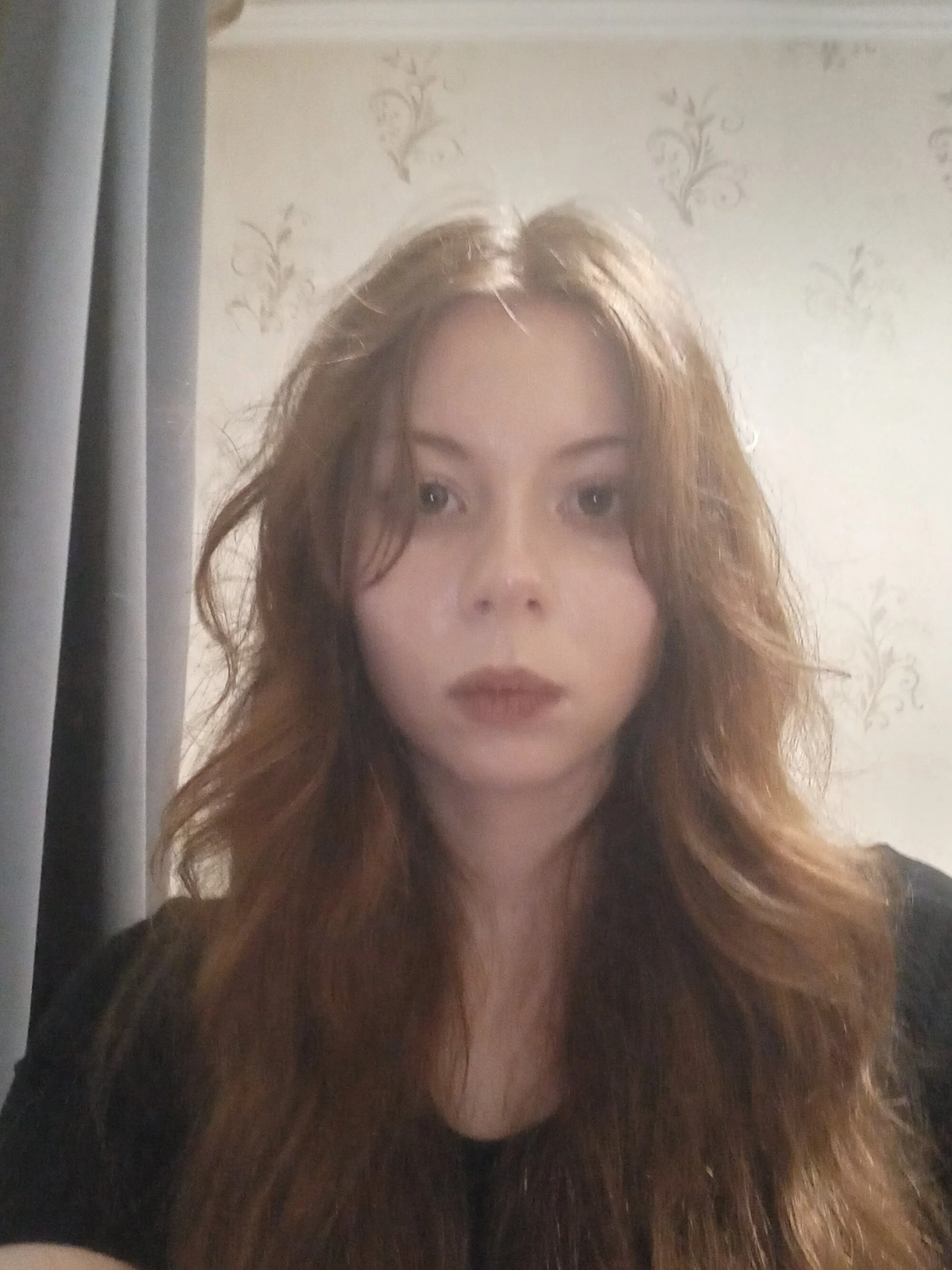 Isabellarodi cover photo