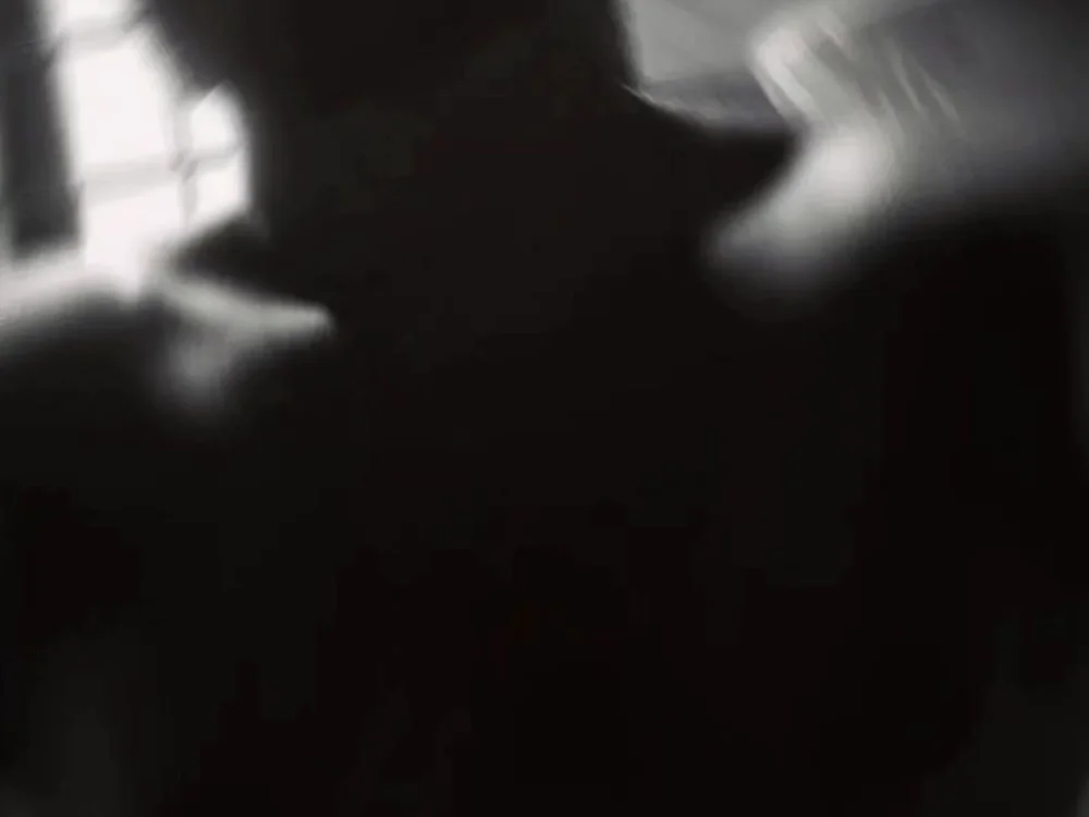 Shizs: офлайн-секс-чат