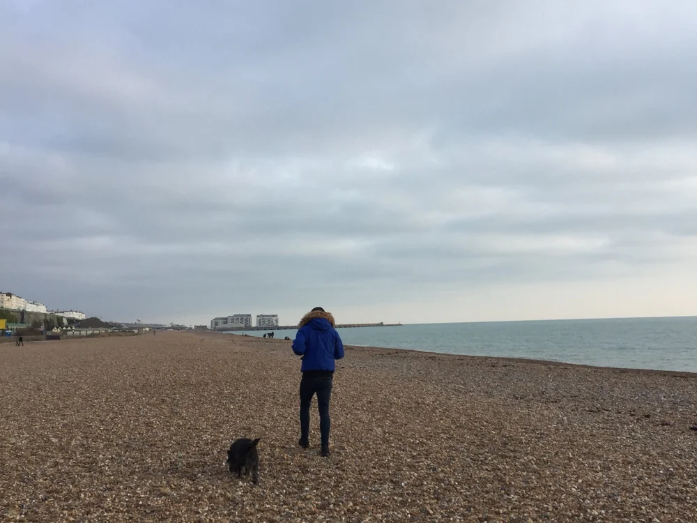 Офлайн-чат XXX wizard30