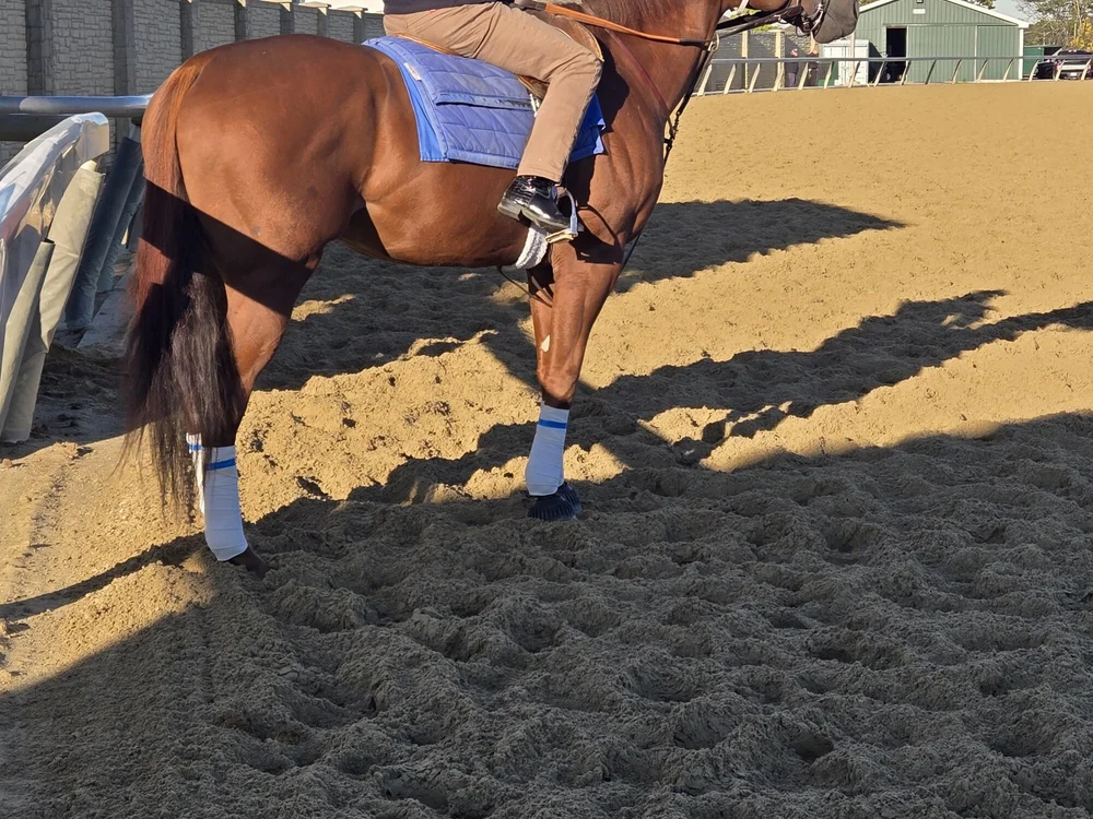 kingflip1992's Offline XXX Chat