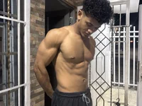 Модель Fox2evans