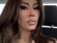 Модель SassyCookies