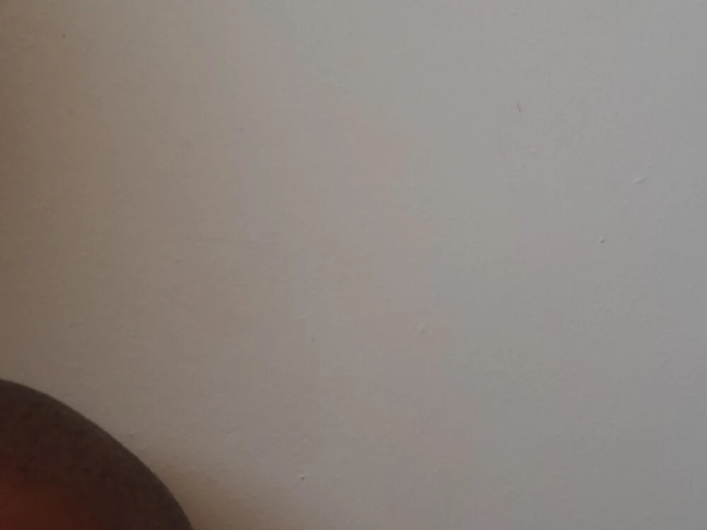 Blackcock3213 offline XXX-chat